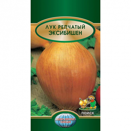 Лук репчатый Эксибишен фото Лук репчатый Эксибишен 